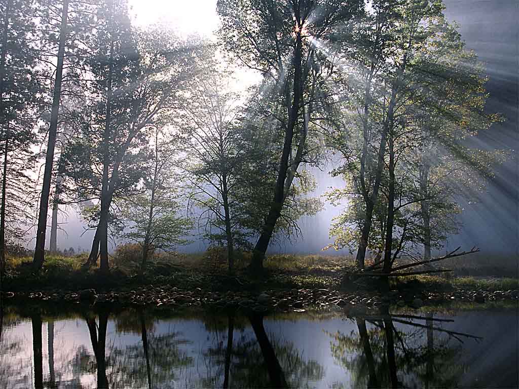 Luz tenue.jpg